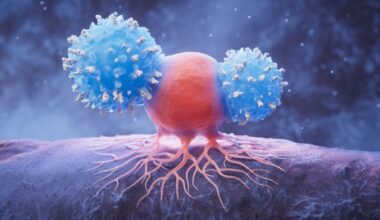 Study Shows Peritoneal Mesothelioma Microenvironment Creates Poor Immunotherapy Response