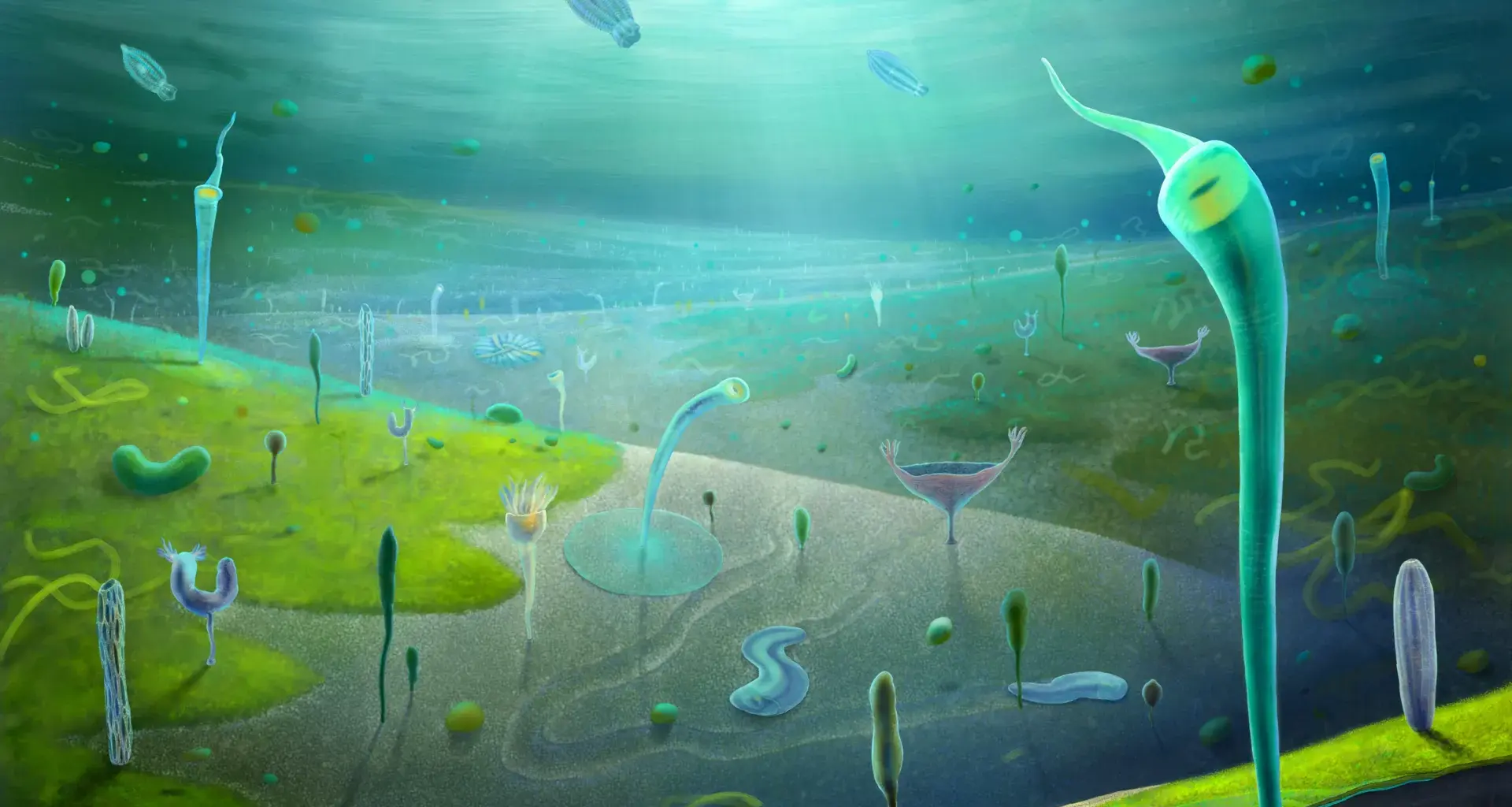 Scientists found a “lost world” of animals that shouldn’t exist yet