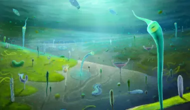 Scientists found a “lost world” of animals that shouldn’t exist yet