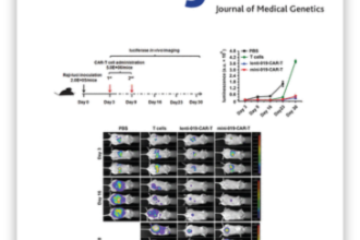 BMJ retracts most of a special issue for ‘compromised’ peer review and ‘improbable device use’ – Retraction Watch