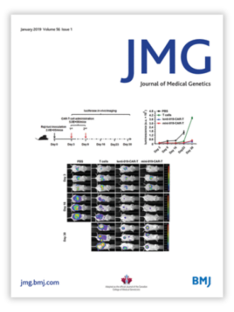 BMJ retracts most of a special issue for ‘compromised’ peer review and ‘improbable device use’ – Retraction Watch