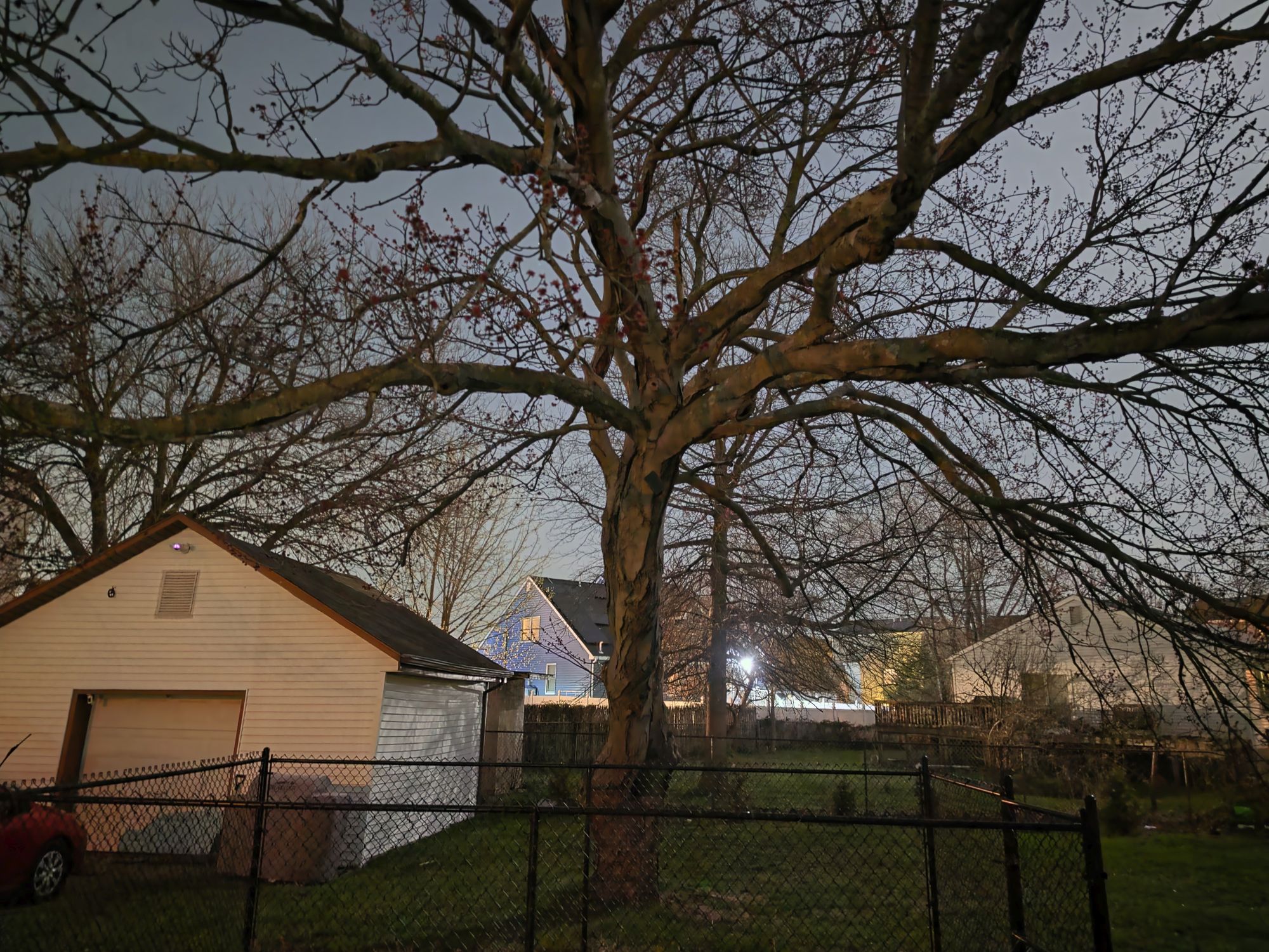 Samsung Galaxy S26 Ultra Night Mode low light sample.