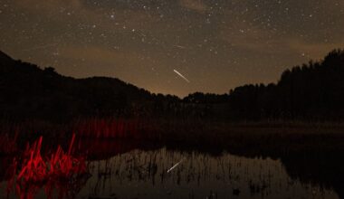 A meteor is pictured streaking through a starry sky above a hilly tree-lined horizon. A lake is visible at the bottom of the image, reflecting the sky above.