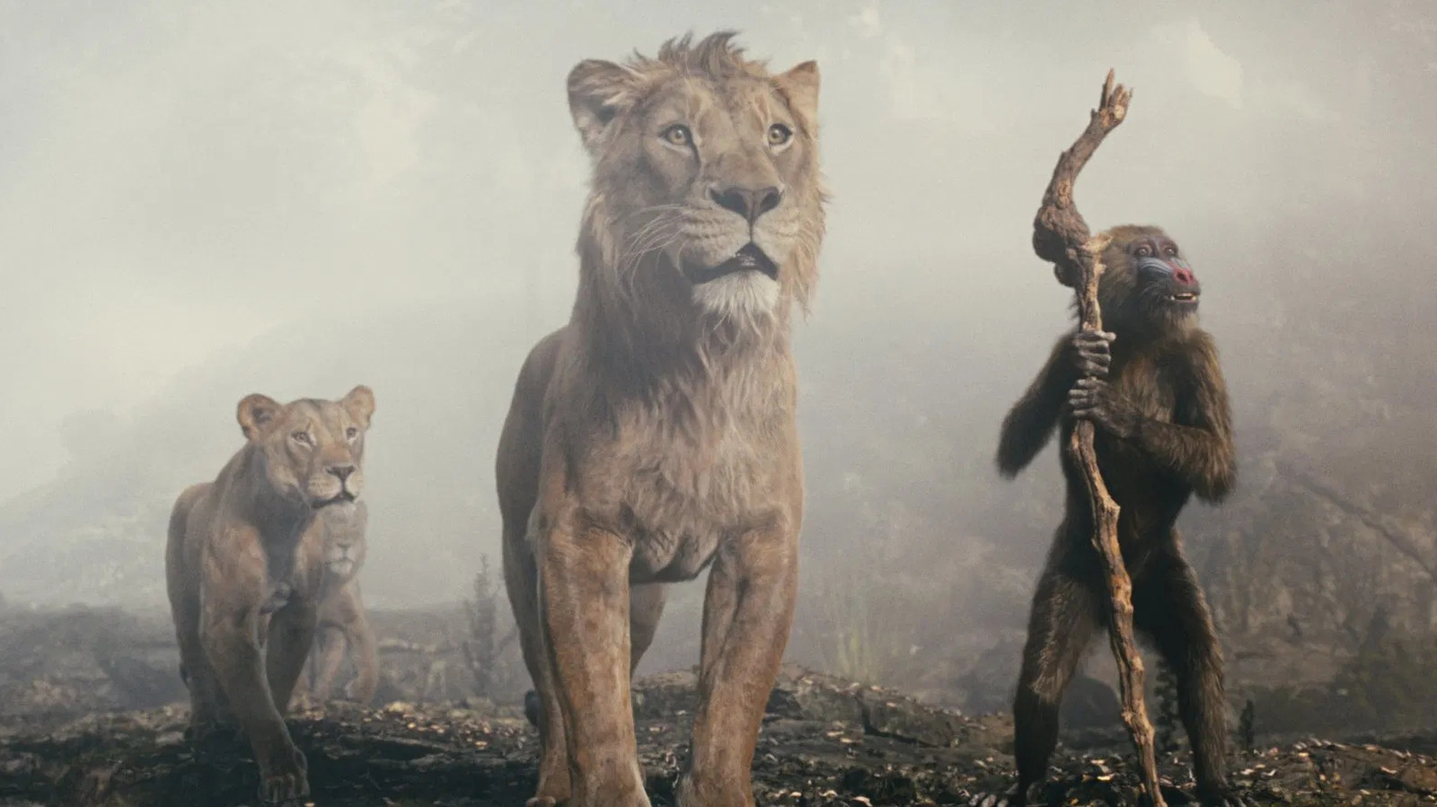 5 Movies That 'Flopped' On Opening Weekend But Still Became Box Office Hits