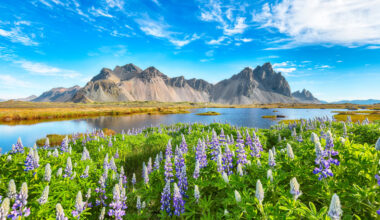 This Beautiful Island With Stunning Waterfalls And Mountain Trails Was Free Of Wild Mosquitoes (Until Last Year)