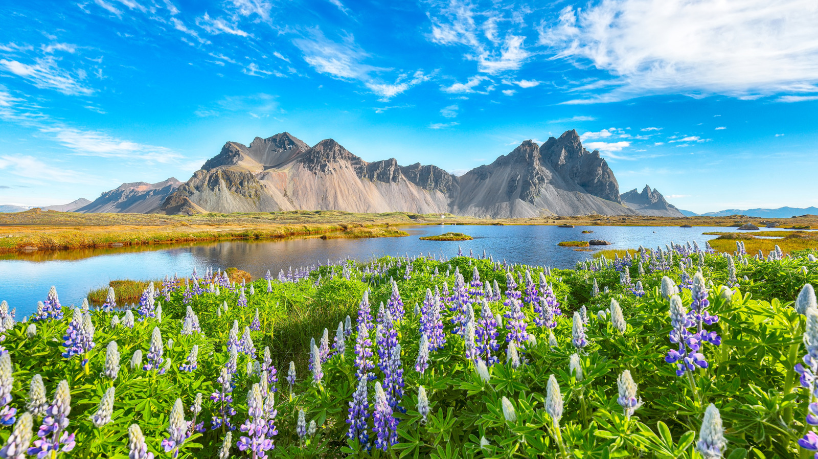 This Beautiful Island With Stunning Waterfalls And Mountain Trails Was Free Of Wild Mosquitoes (Until Last Year)