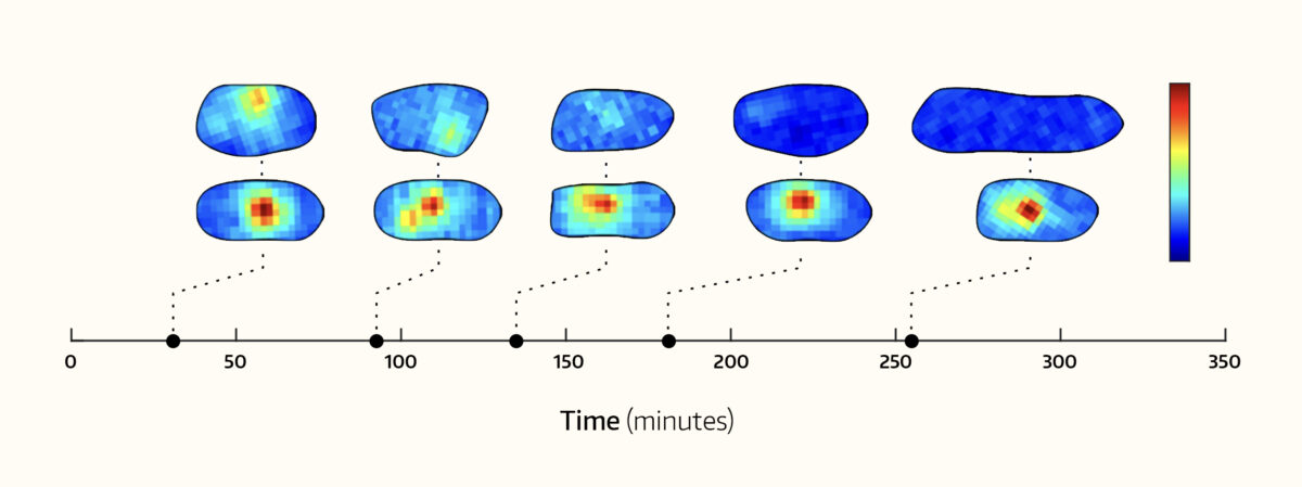 Small blue blobs line up along a graph of time