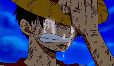 One Piece Anime Faces Backlash Over One Frustrating Reason