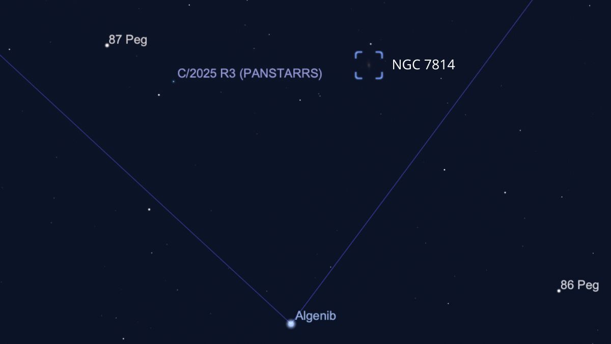 night sky graphic showing the location of comet panstarrs next to NGC 7814.
