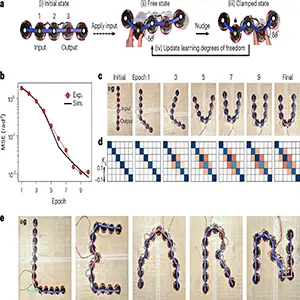 Contrastive learning for shape-changing metamaterials. Credit: Nature Physics