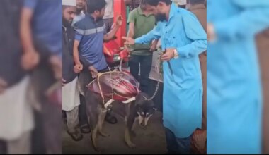 Fuel Crisis Throws Up An Unexpected Moment