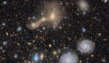 A Vera Rubin Observatory view of a portion of the Virgo Cluster. Galaxies are crammed together so close that that their gravitational pull tears them apart,as we see in the two galaxies near the center of the image. That leaves behind some galaxies without as many stars as they started with, but with "overmassive" black holes. Image credit: RubinObs/NOIRLab/SLAC/NSF/DOE/AURA