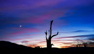 2 bright planets light up April evenings — here's where and when to look