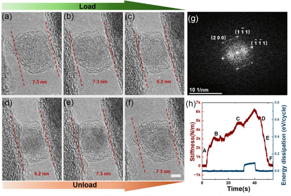 Nanodiamond Under Stress