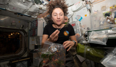 NASA astronaut Jessica Meir dines on fresh Mizuna mustard greens she harvested earlier that day aboard the International Space Station.