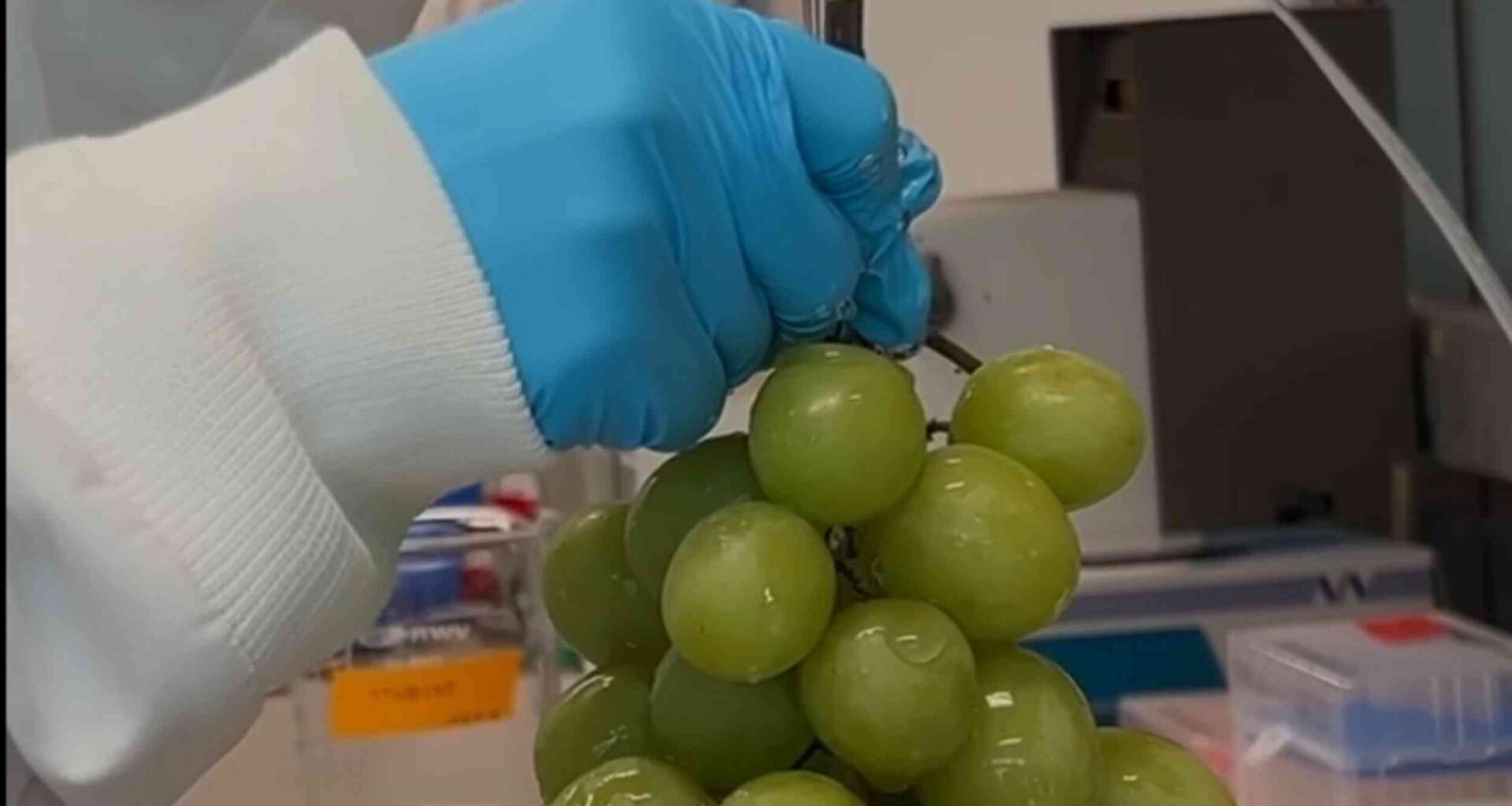 Scientists create a natural wash that strips pesticides off fruit