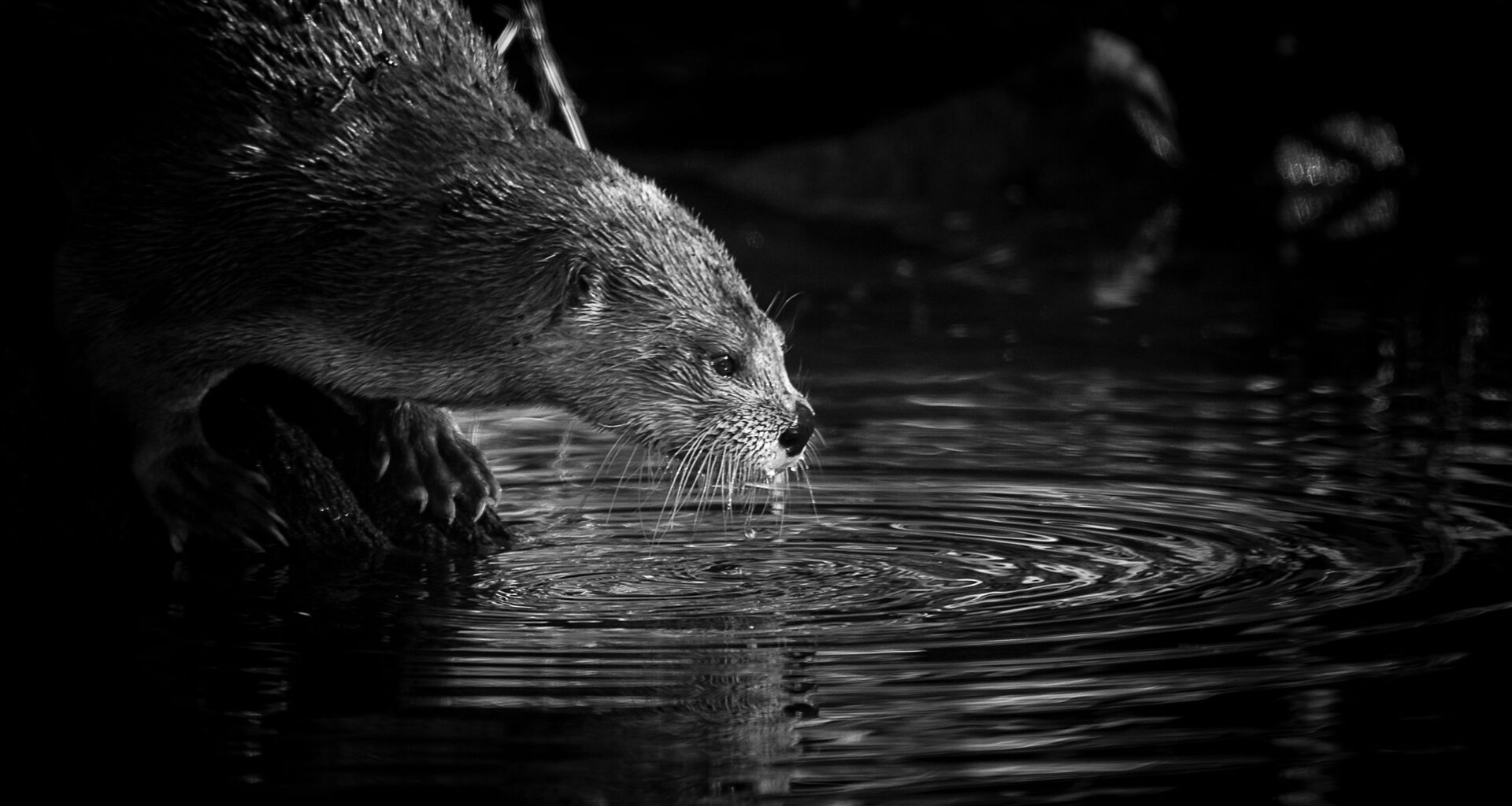 Want to win up to US$200,000? Enter these top photo competitions, now open for submissions from April to July 2026