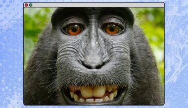 This monkey selfie will protect you from AI slop