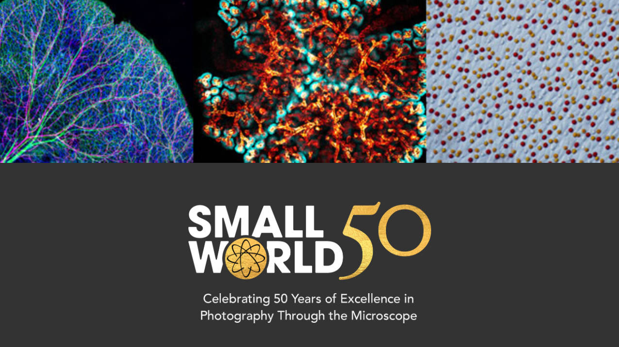 A collage of microscopic images showcasing colorful cellular structures with the text "Small World 50" celebrating 50 years of microscopy photography