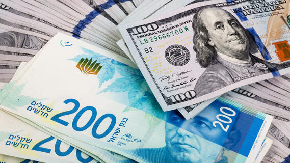 Rising shekel puts pressure on Israeli exporters, risks shift to US