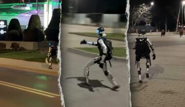 Humanoid robot chases wild boars in viral video