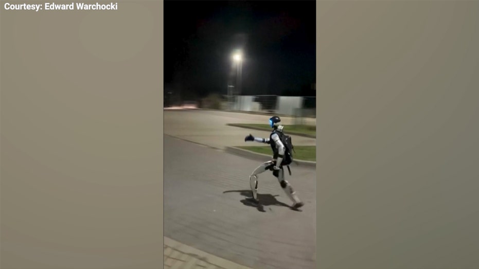 Humanoid robot chases wild boars in Warsaw video