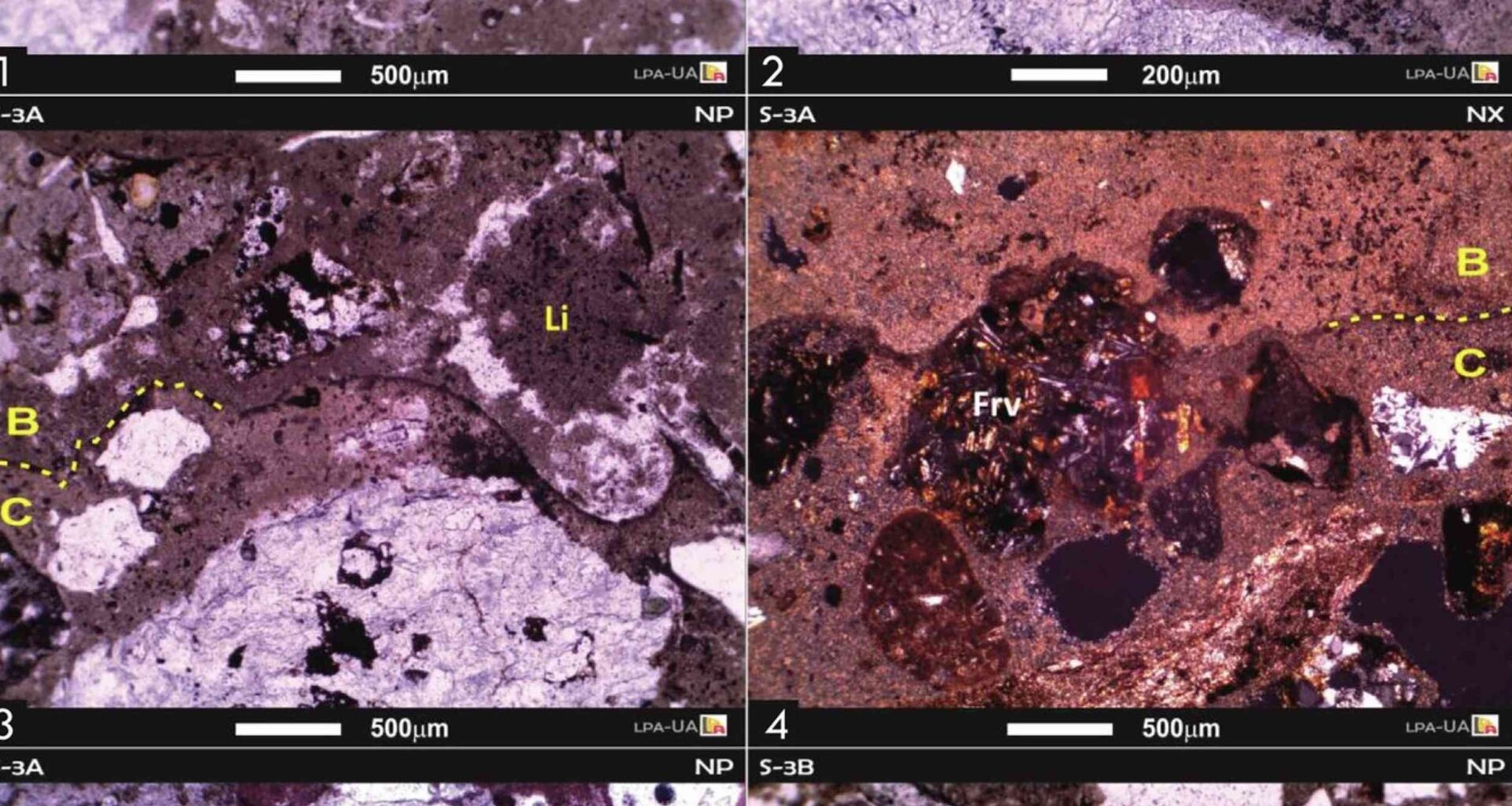 Roman wall art shows advanced technique for paint conservation