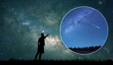 a silhouette of a person points up at a night sky filled with stars. A circle boxout in the top right corner contains an image of a shooting star.
