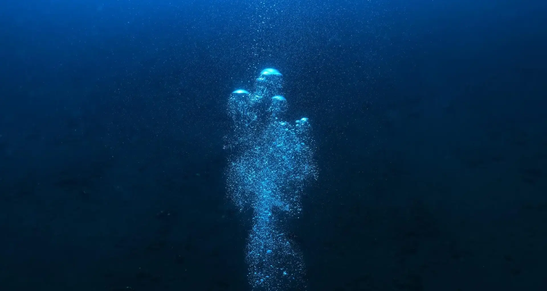 Scientists Stunned: A Giant Sea Creature Still Hides Unseen in the Ocean