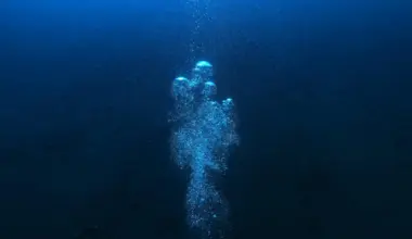 Scientists Stunned: A Giant Sea Creature Still Hides Unseen in the Ocean