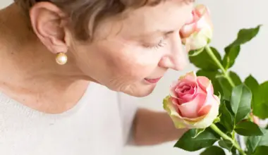 Your nose could detect Alzheimer’s years before symptoms begin