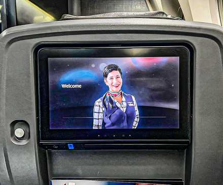 American Airlines Seatback Screen Custom Thumbnail