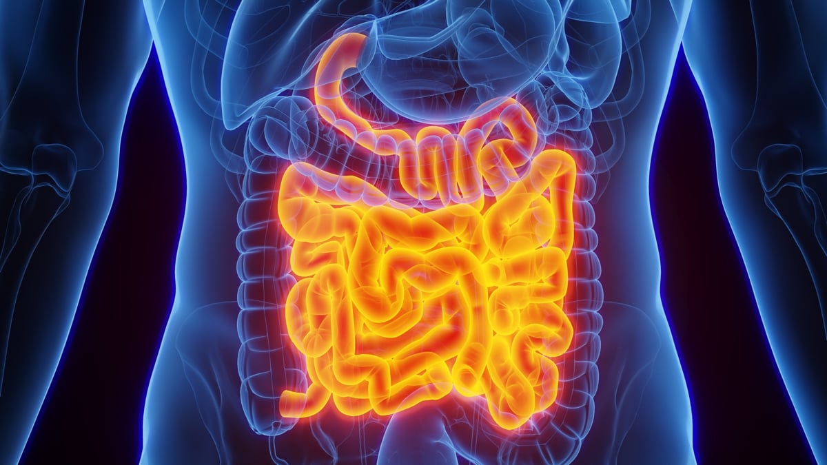 A Special Protein in Your Gut Has The Power to Neutralize Bacteria : ScienceAlert