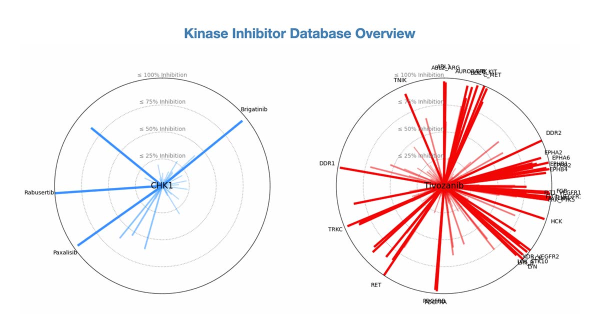 Fred Hutch study dramatically expands therapeutic range of approved kinase drugs