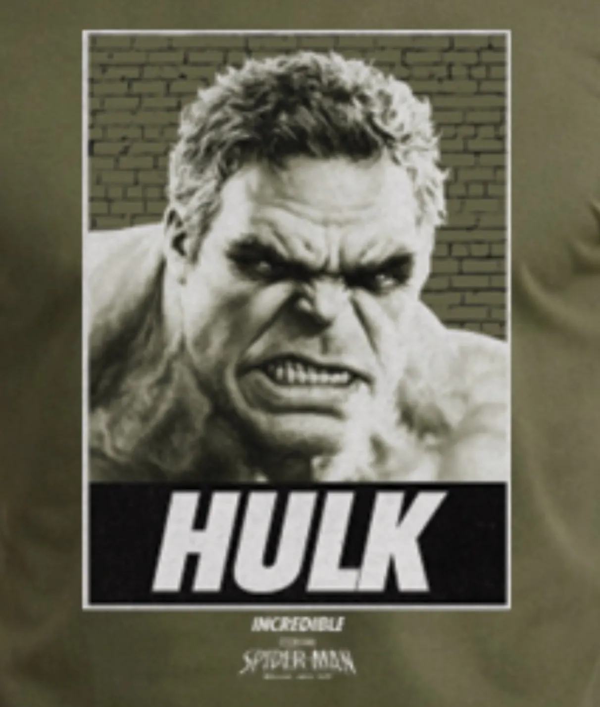 spider man brand new day hulk leak