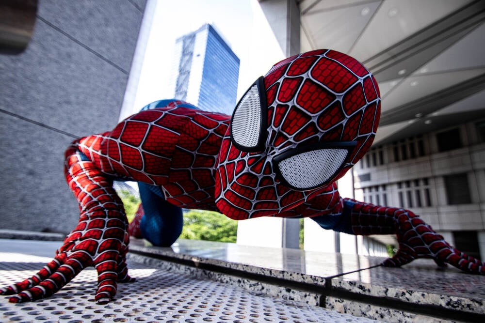 Snowflake manager on 'Spider-Man' theory of AI agents • The Register