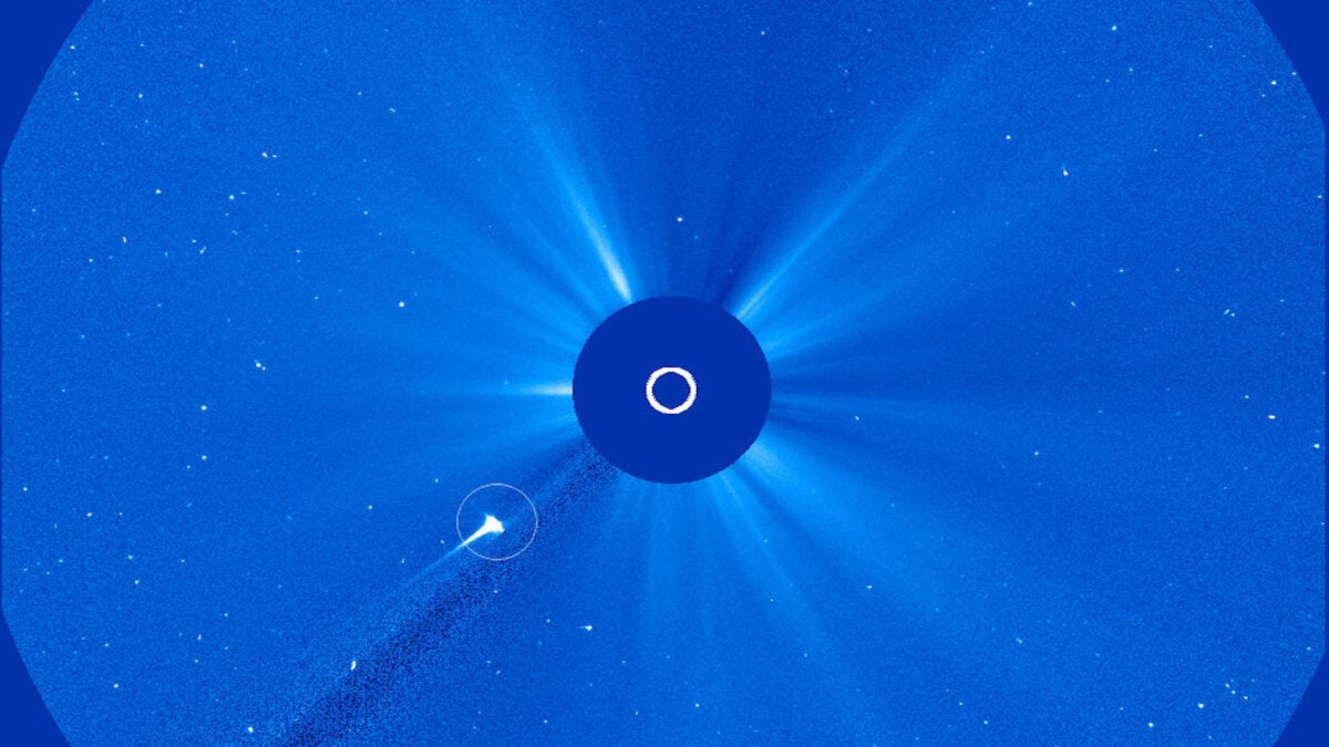 Watch a Comet Get Torn Apart by the Sun and Become a Headless Ghost