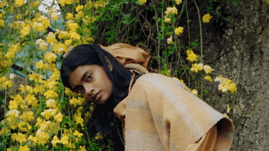 Ashwaghanda, magnesium and vitamin D: do we all really need to take these supplements?