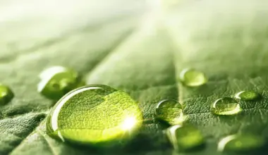 Ricoh raises decarbonization targets under new ESG strategy in the latest mid-term strategy | Global