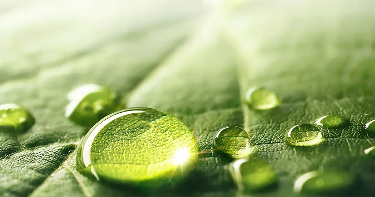 Ricoh raises decarbonization targets under new ESG strategy in the latest mid-term strategy | Global