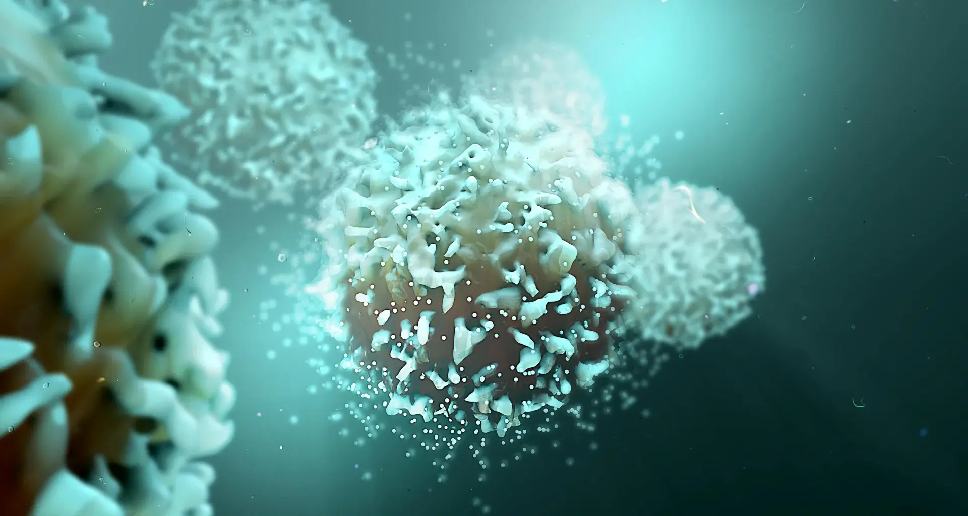 Blocking a single protein supercharges the immune system against cancer