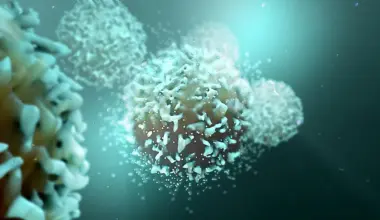 Blocking a single protein supercharges the immune system against cancer