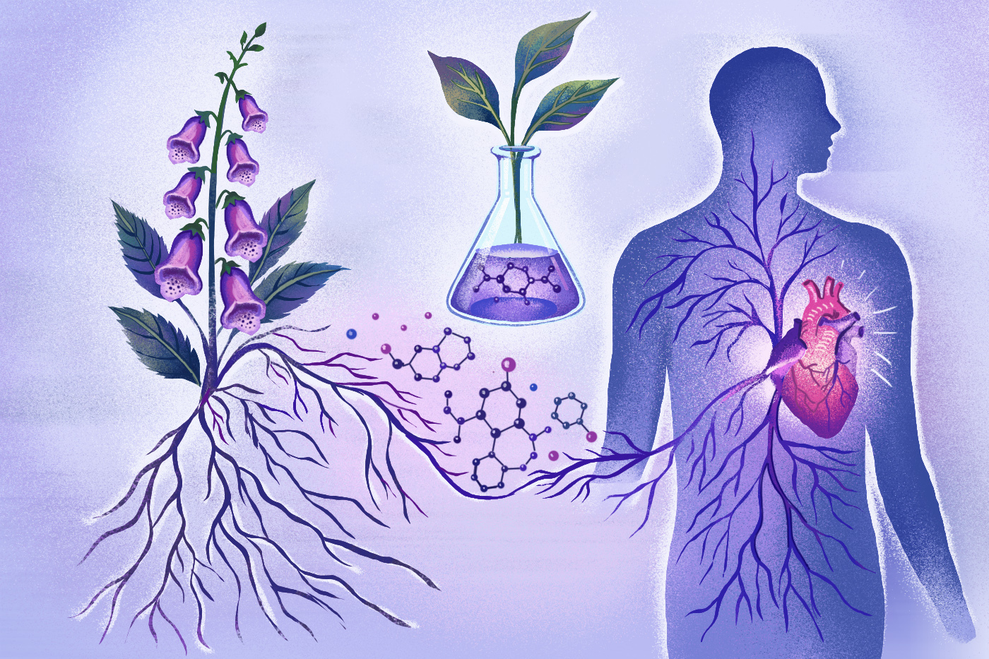 An illustration using soft purples and other pastel shades depicts plant roots connected to the cardiovascular system of a person.