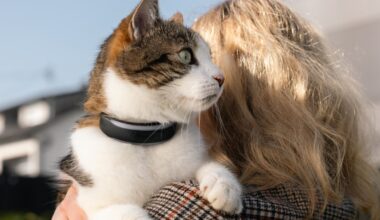 Tractive’s new dog and cat trackers provide more health insights for your pets