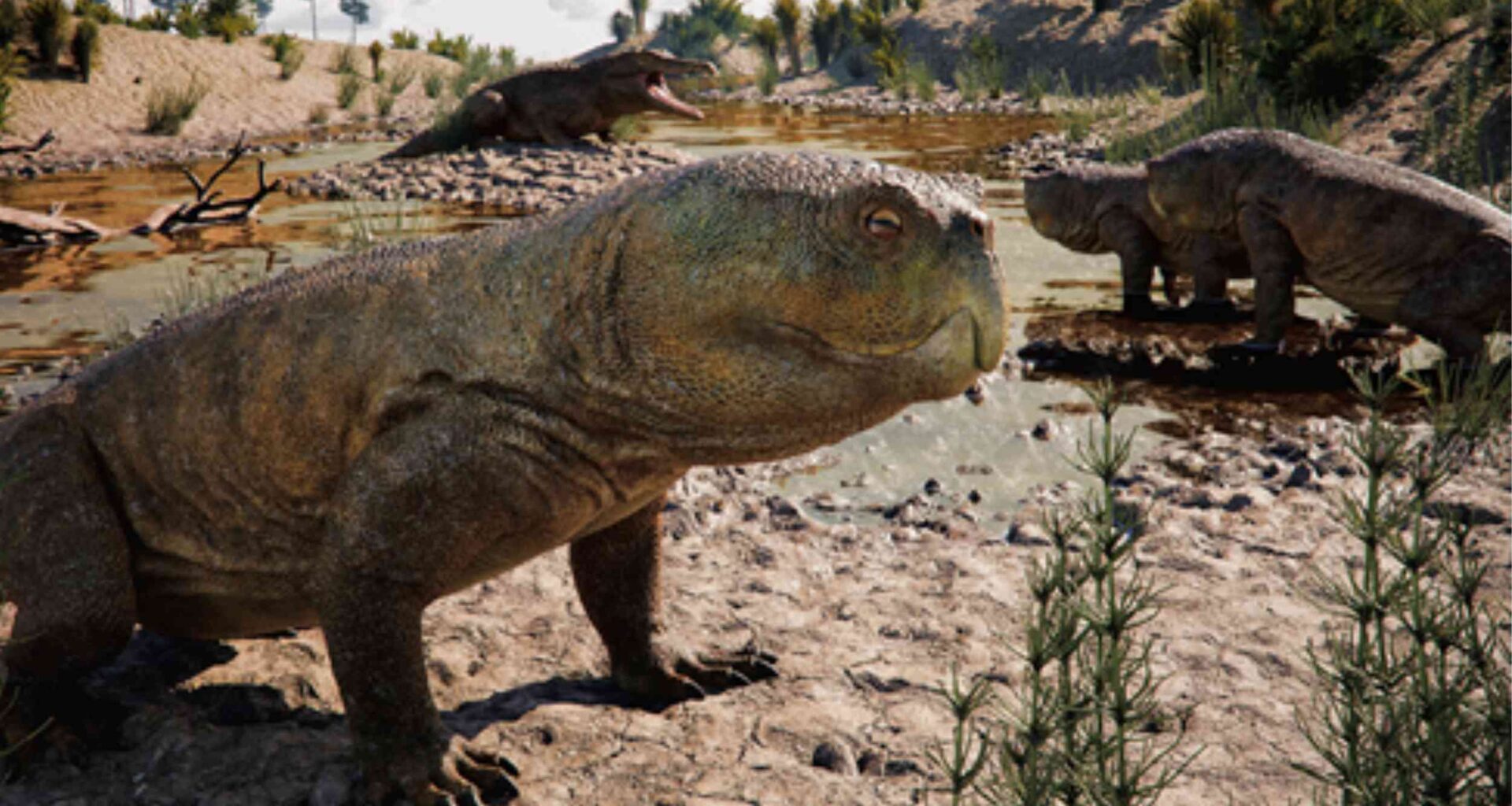 Fossil skull from Brazil reveals plant-eating reptile before dinosaurs