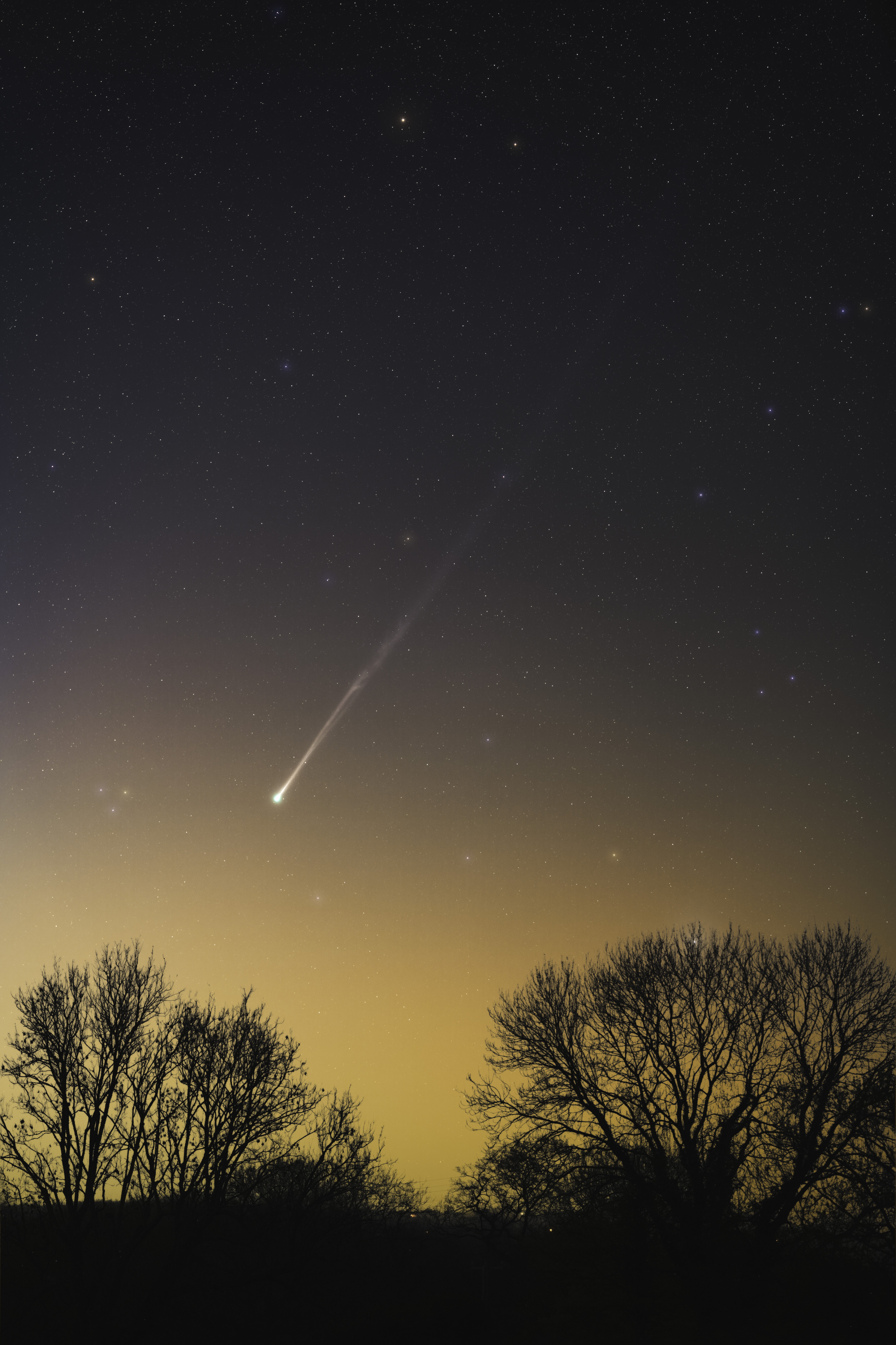 A comet is pictured shining in a field of multicolored stars above a silhouetted horizon lined with trees at night. A warm yellow-orange glow suffuses the horizon.