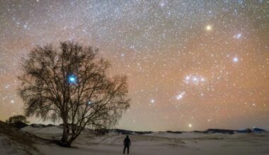 A glowing orange night sky is full of stars overlooking a winter landscape with a large tree in the left of the image