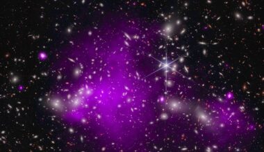 This galaxy, UHZ1, is 13.2 billion light-years away, seen when the universe was only 3% of its current age. NASA’s Chandra X-ray Observatory and James Webb Space Telescope joined forces to make this discovery.This is considered the best evidence to date that some early black holes formed from massive clouds of gas. Courtesy NASA/Chandra