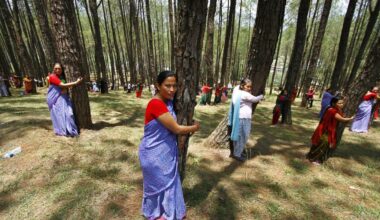 On Earth Day, learn the history behind the 'tree-hugger' : NPR