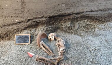 Pompeii archaeologists use AI to reconstruct killed in volcano's eruption : NPR